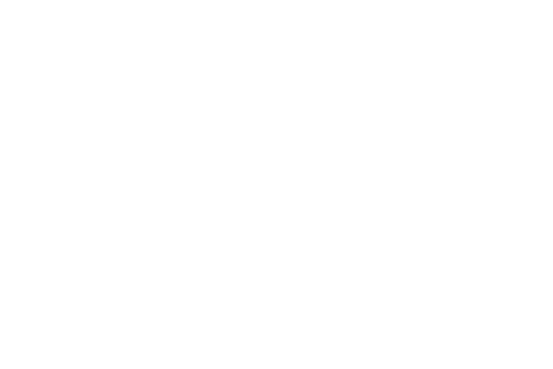 Sunspur Studio